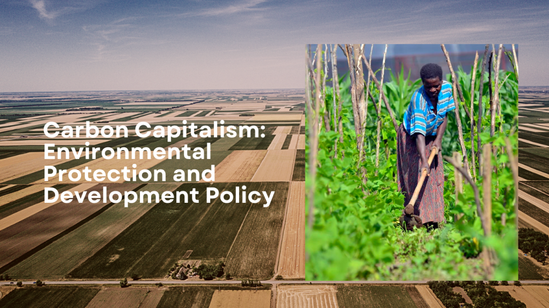 Carbon Capitalism: Environmental Protection and Development Policy