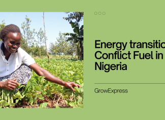 Energy transition: Conflict Fuel in Nigeria